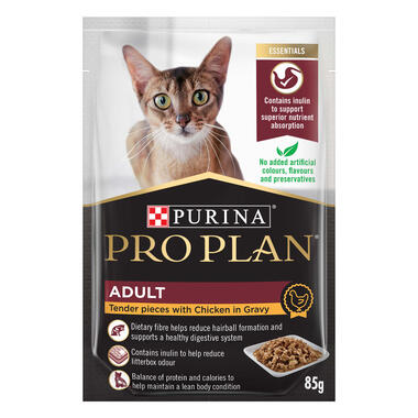 Soft cat food best sale kibble